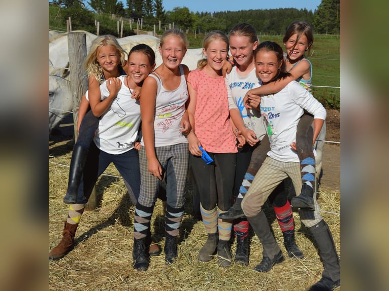 🐣 LASTMINUTE: Jouw eigen paard tijdens de paasvakantie! 🐴