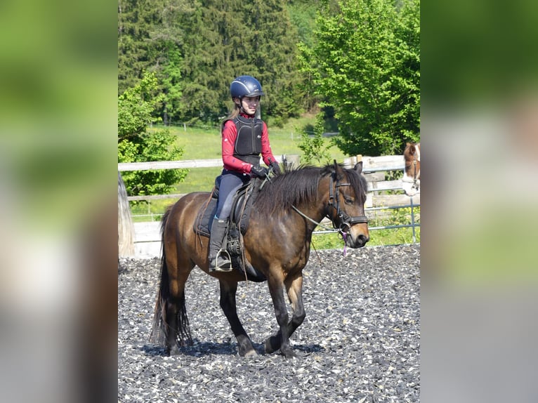 🐣 LASTMINUTE: Jouw eigen paard tijdens de paasvakantie! 🐴