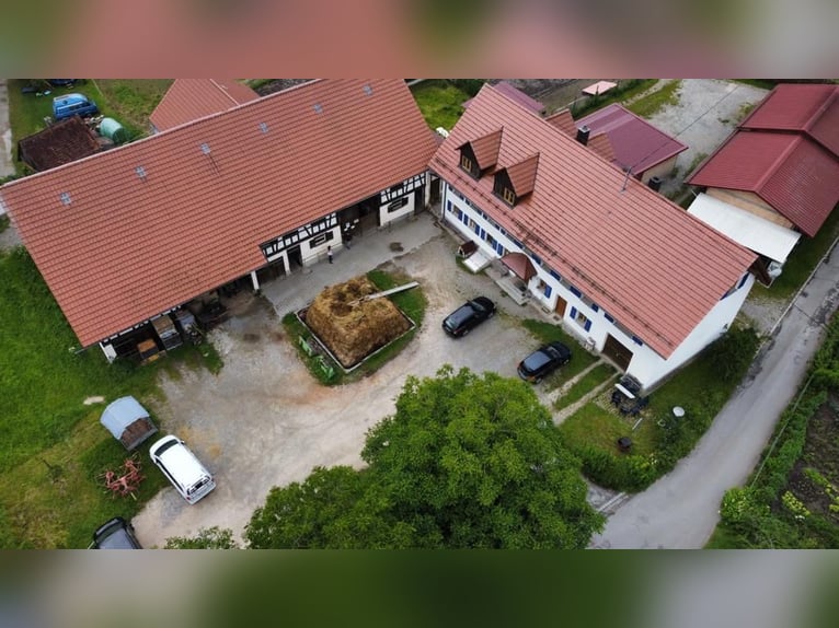 Paardrijvakanties / Paardrijlessen in het Liefdesdal (Bodensee)