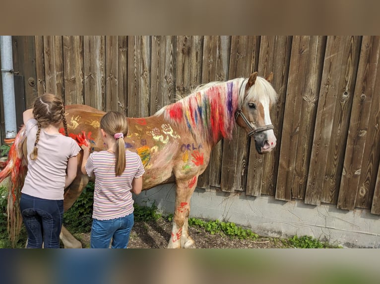 Reitferien für Kinder und Jugendliche