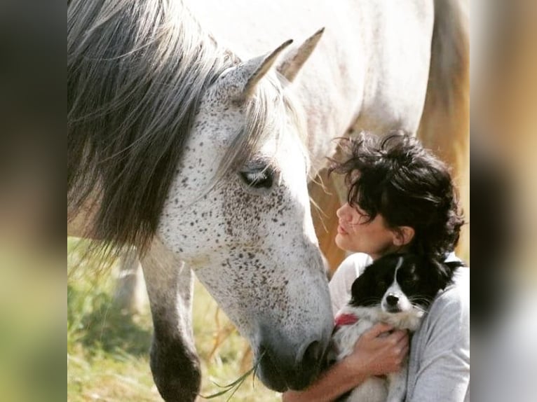 Reittherapie für Kinder und Erwachsene