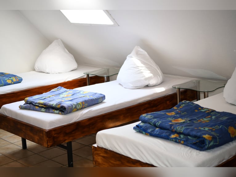 Ruitervakantie in het mooie Ederdal – ruiterparadijs Talhof