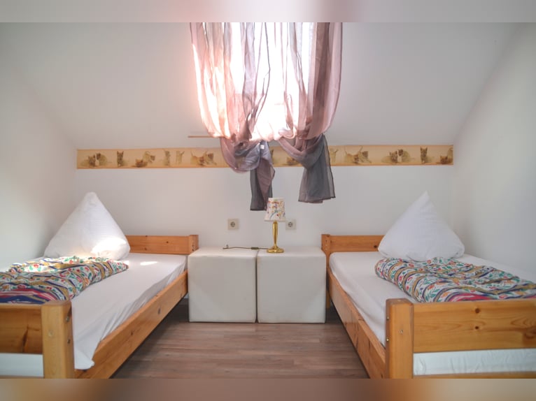 Ruitervakantie in het mooie Ederdal – ruiterparadijs Talhof