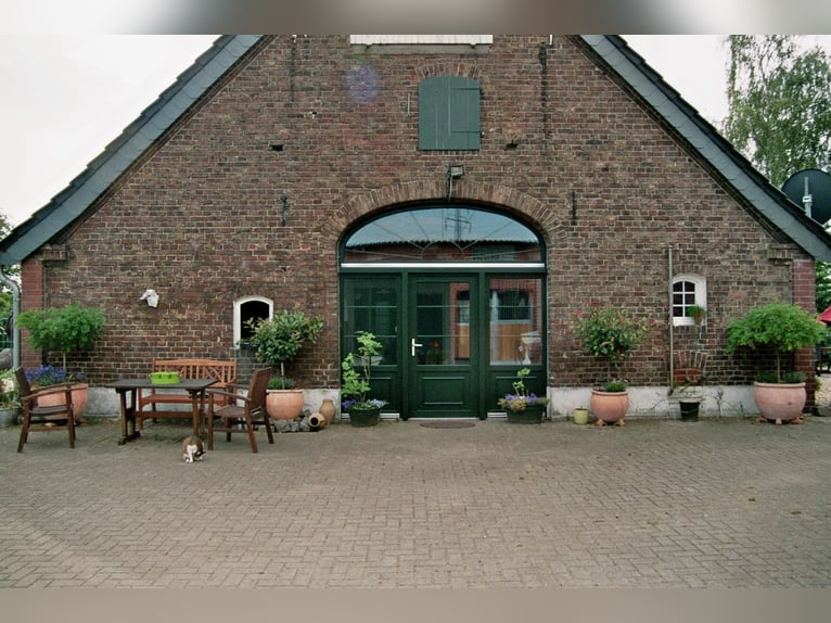 Vakantie op de Manege d'Issel