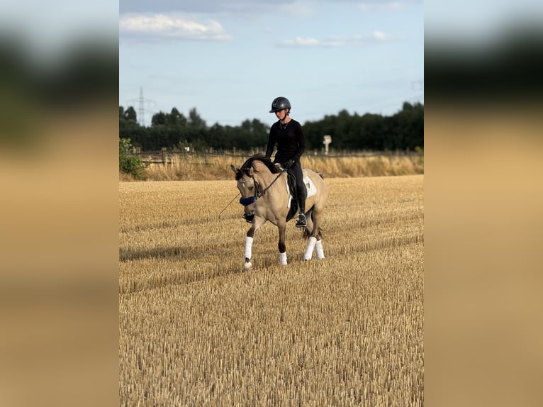 Vakantie op de ponyboerderij - Paardrijden