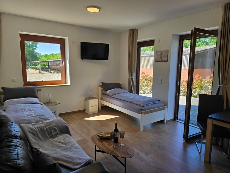 Neue Ferienwohnungen direkt am Wasser mit tollen Reitgelände - auch mit Gastboxen