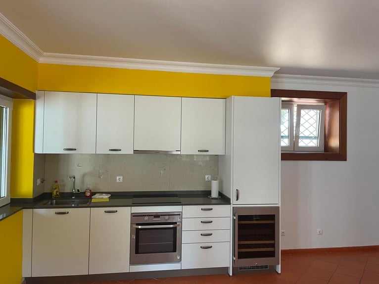 Reiterurlaub exklusiv auf unserem Lusitanogestüt 