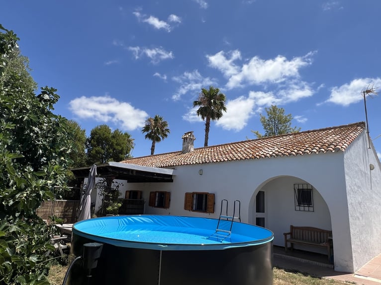 Andalusië en zijn prachtige paarden - Jerez de la Frontera