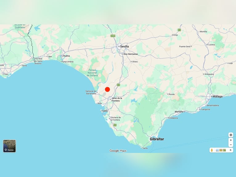 Andalusië en zijn prachtige paarden - Jerez de la Frontera