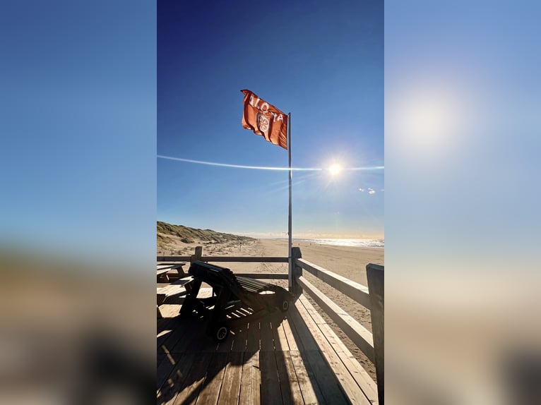 Geheimtip voor jouw droomvakantie met je eigen paard in Nederland