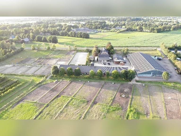 Paardenhotel op de Veluwe!!