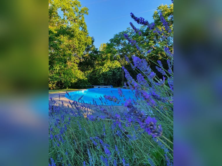 Paardrijvakanties in Toscane