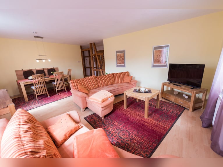 Spaans PRE-gefokt paard uit Zuid-Harz