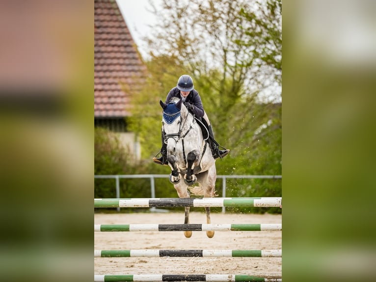 Springmateriaal in de omgeving van 89547