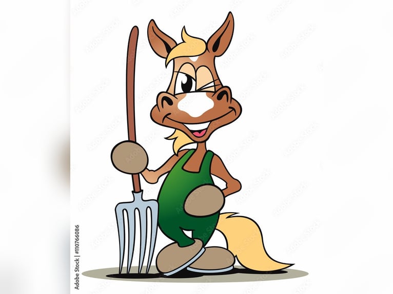 Aanbieden van mestdienst en paardenverzorging in 68794