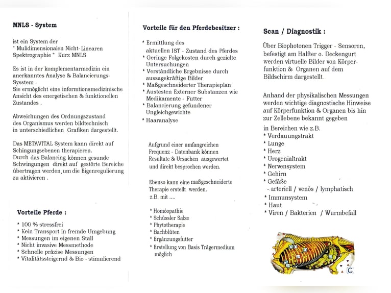 Metavital Horse Scan System zu verkaufen 