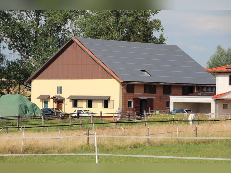 Pächter für kleine Stallanlage gesucht