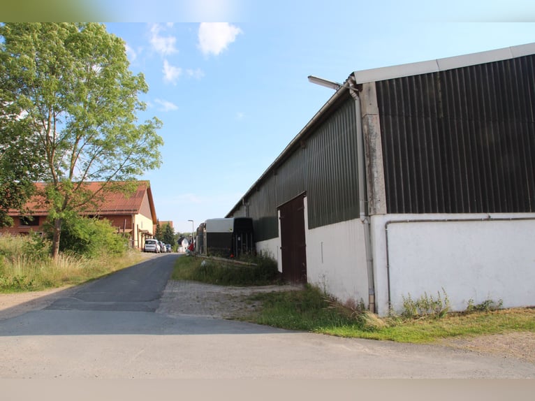 Pächter für kleine Stallanlage gesucht