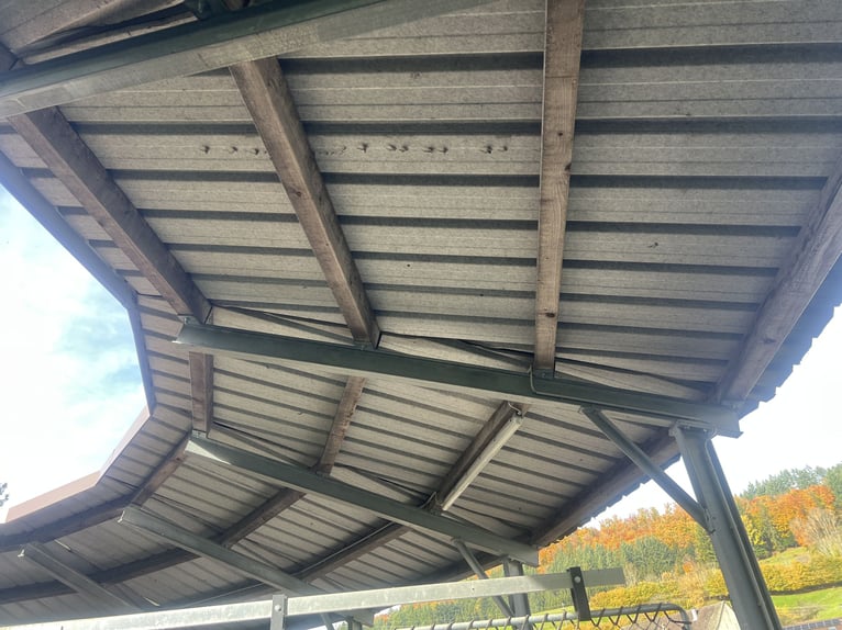 Pferde-Führanlage, für 4 Pferde