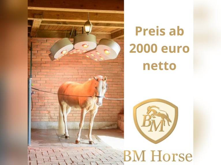 Solarium voor paarden Solar Tech