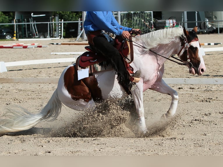 Równiarka HUNTER REINING 2,0 m REITPLATZPLANER Bahnplaner