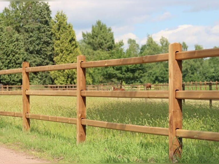 Houten tuinhek | Houten omheining | Tuinhek van hout | Houten hek voor de tuin