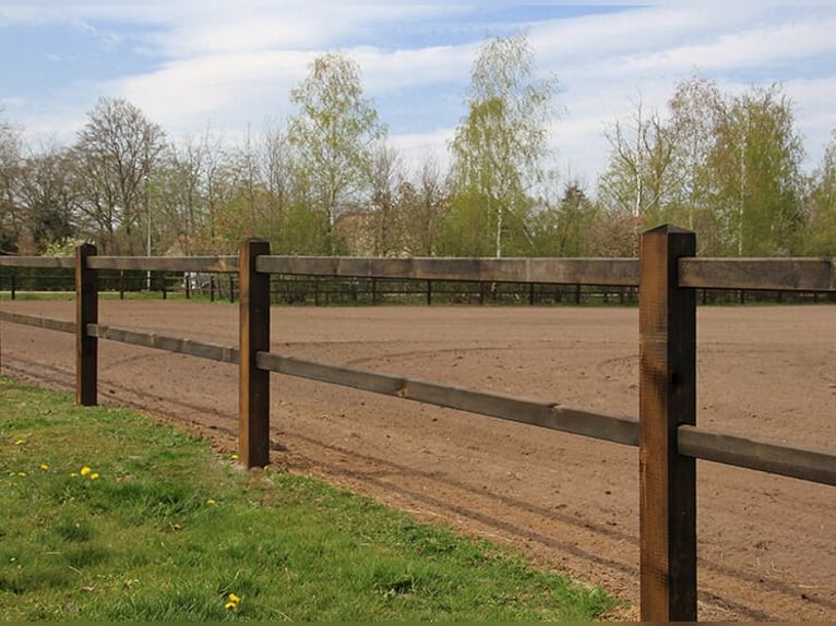 Op voorraad! Tuinhek | Houten hek | Houten omheining