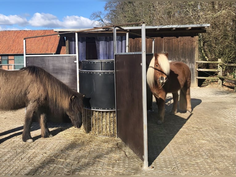 Tijdgestuurde voederbak voor paarden, de Powerraufe, geschikt voor tot 30 kg hooi, optioneel met wat