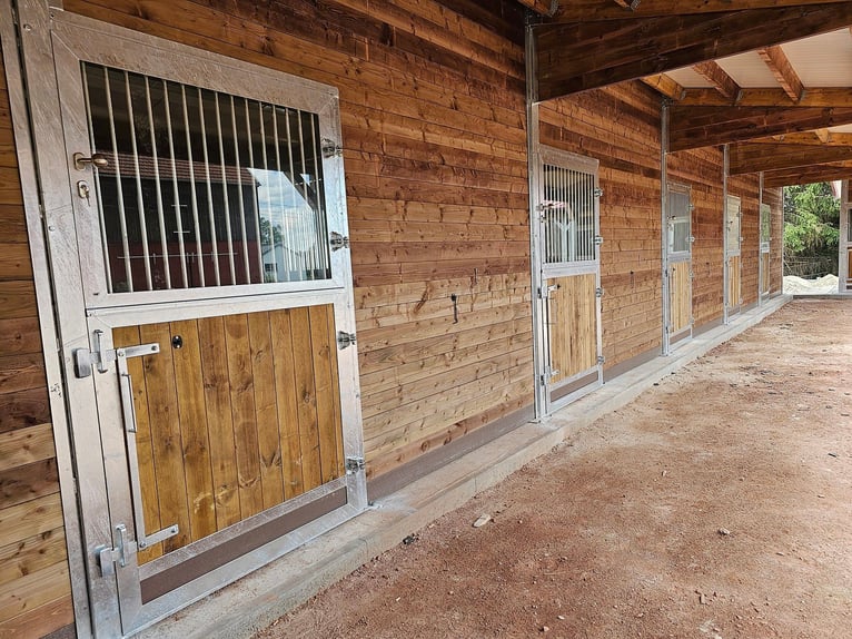 Hoogwaardige staldeuren, paddockdeuren en stalpoorten voor paardenstallen | Schuifdeuren voor stalle