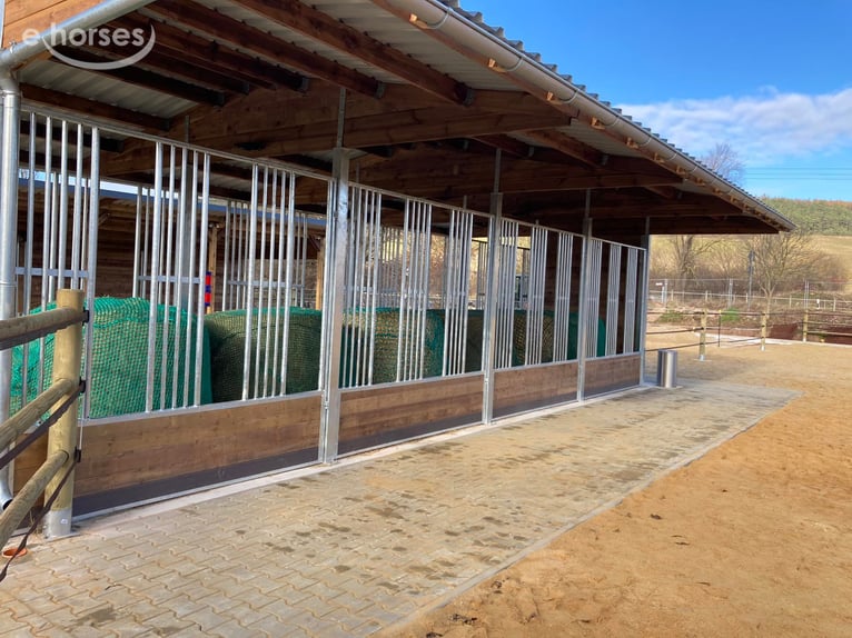 Hooiruiven voor paarden kopen – voerruiven & voerroosters TOP-ACTIVE