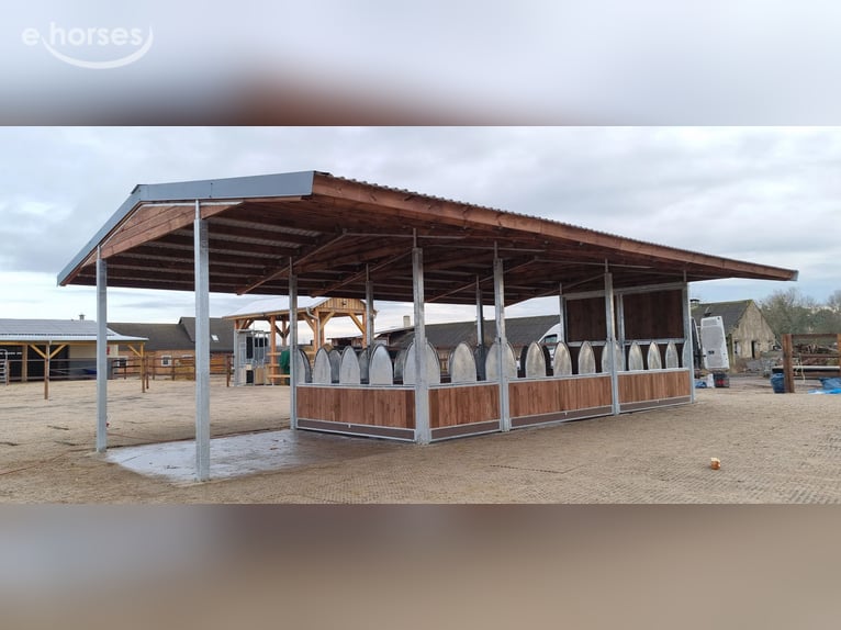 Hooiruiven voor paarden kopen – voerruiven & voerroosters TOP-ACTIVE