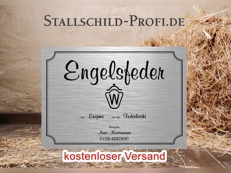 Jouw persoonlijke boxbord voor je paard - zelf ontwerpen of laten maken door een professional