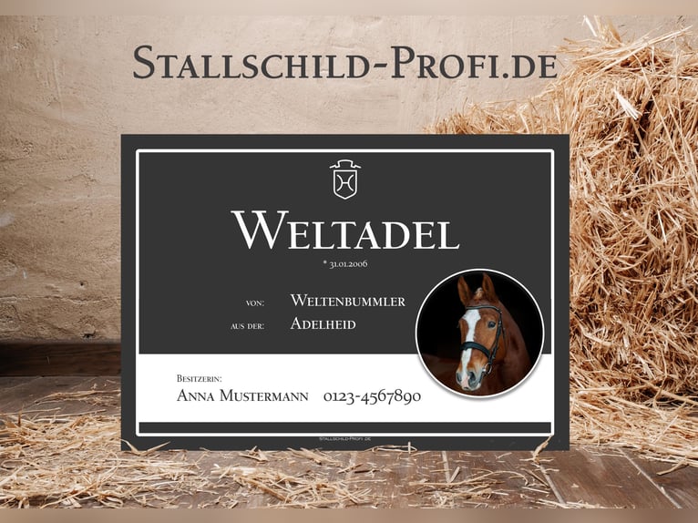 Jouw persoonlijke boxbord voor je paard - zelf ontwerpen of laten maken door een professional