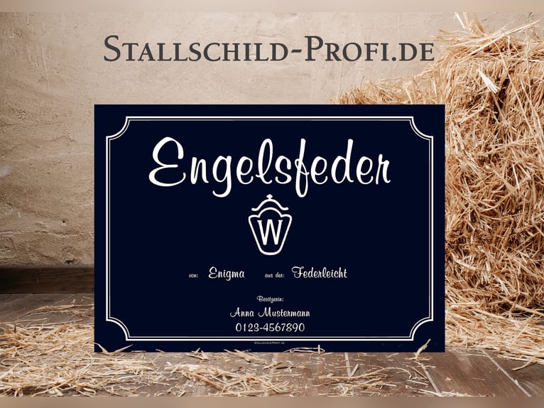 Jouw persoonlijke boxbord voor je paard - zelf ontwerpen of laten maken door een professional