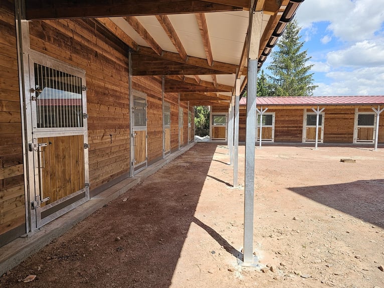 Koop een paardenstal - paardenboxen, buitenstallen en stallenbouwsystemen | Open stal en stallingsys