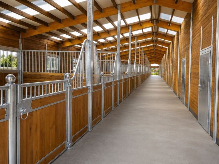Koop een paardenstal - paardenboxen, buitenstallen en stallenbouwsystemen | Open stal en stallingsys