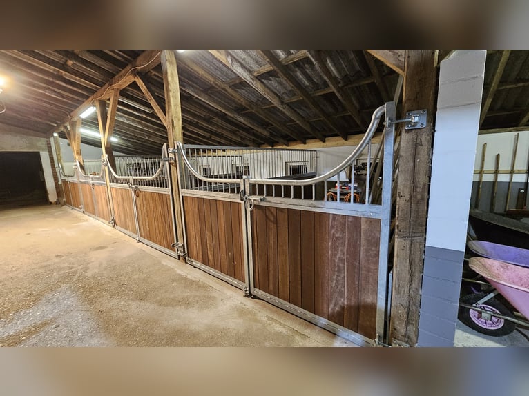 Op maat gemaakte paardenboxen en accessoires volgens uw wensen!