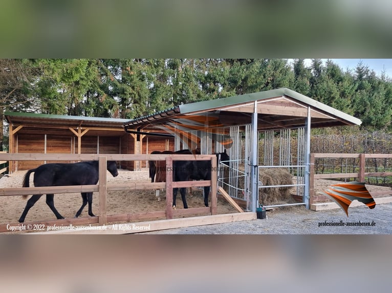 Open stal bouwen & paardenstal, weilandafsluiting - weiladhut voor paard