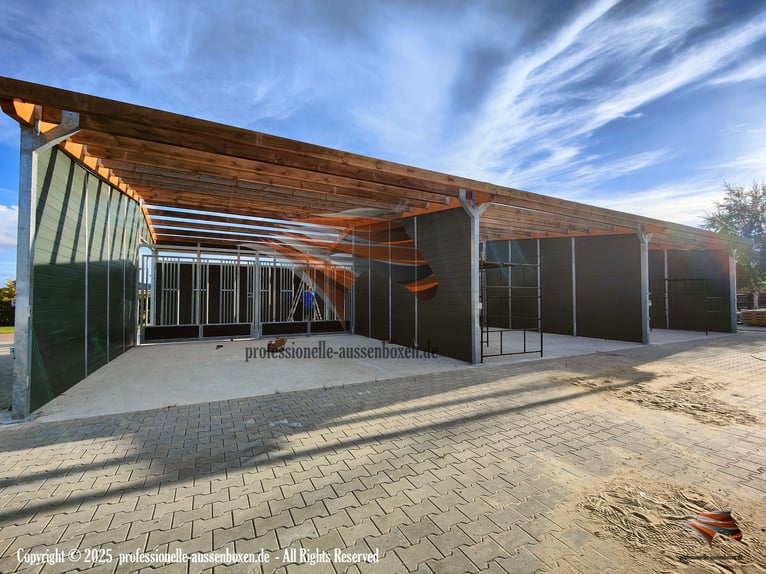 Open stal bouwen & paardenstal, weilandafsluiting - weiladhut voor paard