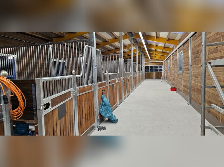 Stalboxen, stalfronten en boxensystemen | Paardenboxen kopen - binnenboxen voor paarden