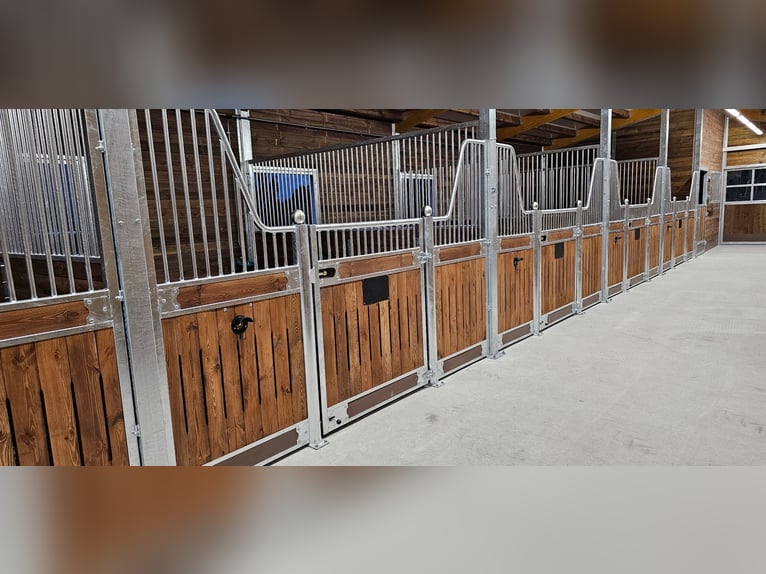 Stalboxen, stalfronten en boxensystemen | Paardenboxen kopen - binnenboxen voor paarden