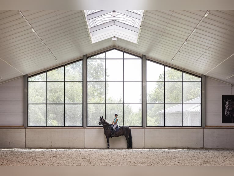 A beautiful equestrian facility, situated on a dream location!