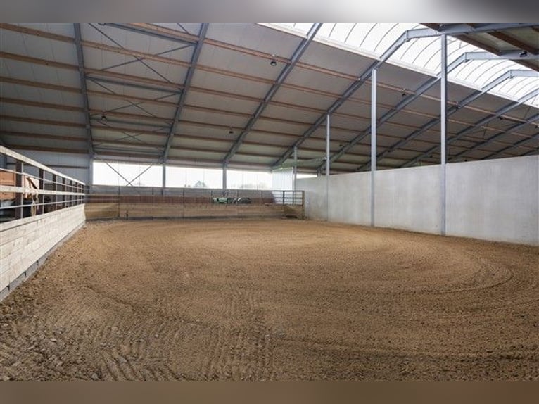 Renovated equestrian facility for sale! 