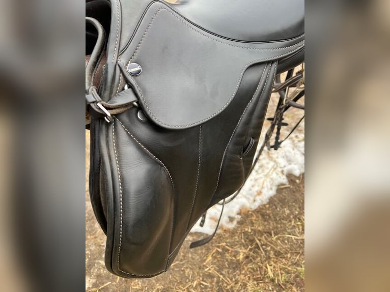 Euroriding Romulus allroundrijzadel 16” W