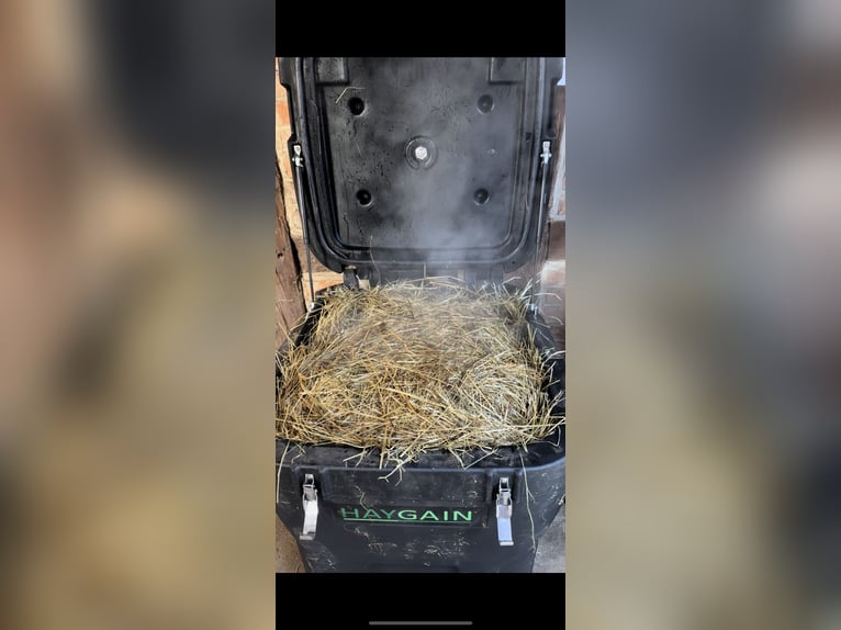 HAYGAIN HG 600 gestohlen 