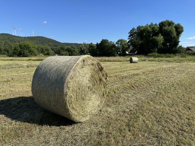 Heu in Rundballen