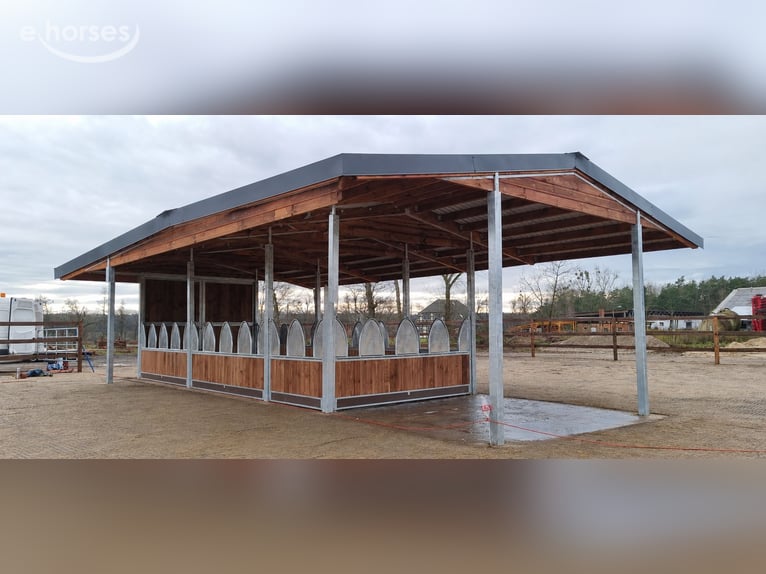 Hooiruiven voor paarden kopen – voerruiven, paardenruiven & voerhekken TOP-ACTIVE