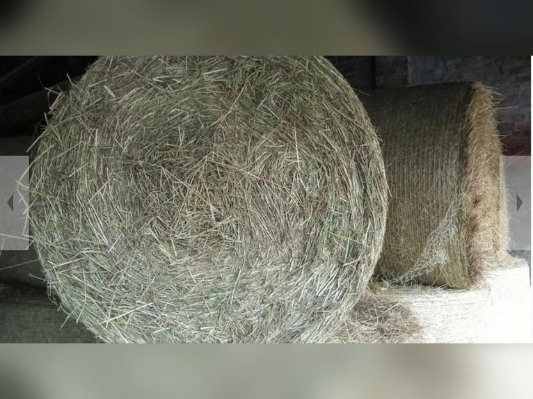 Ronde balen hooi Paardenhooi Hooirollen Rundballen voor runderen, schapen en geiten