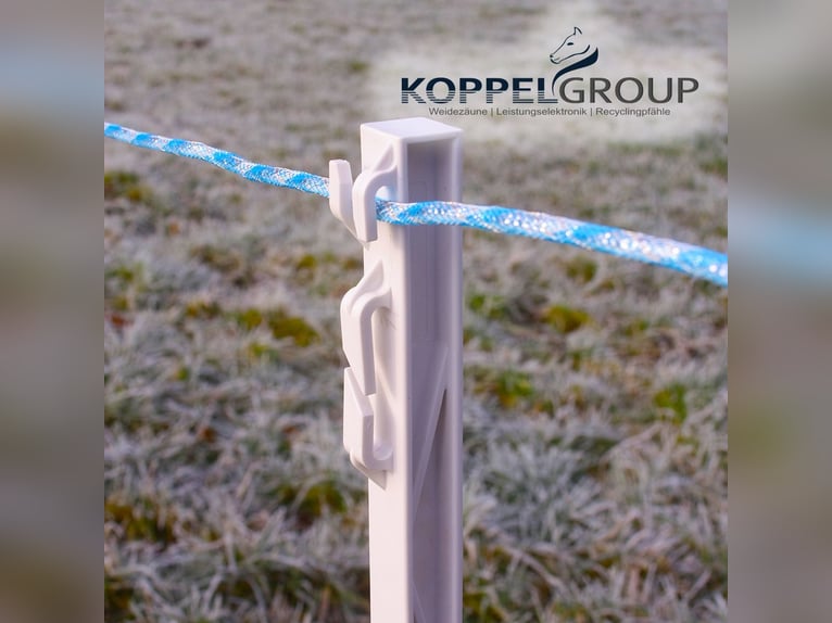 Weidekordel, MAXALON, Weidezaunseil, Koppeldraht, 500m 6mm