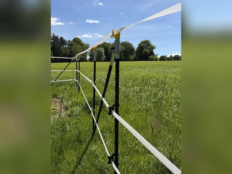 Paardenhek